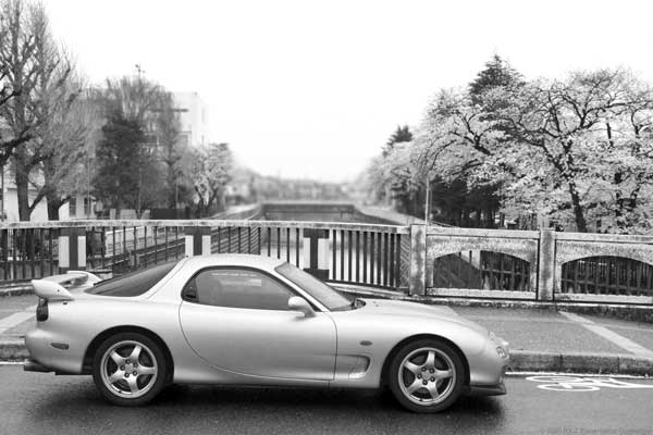小さな川沿いの桜とRX-7(FD3S)の写真