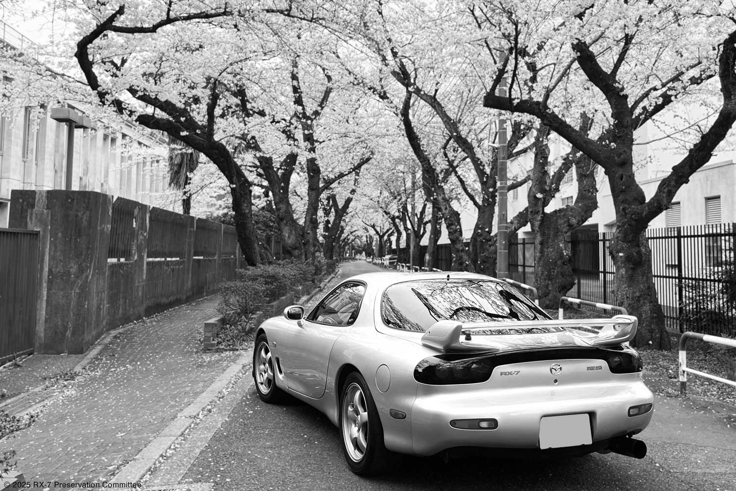 RX-7(FD3S)の写真